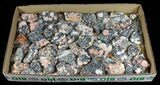 Cerussite, Barite, Galena - Wholesale Flat (About pieces) #50970-1